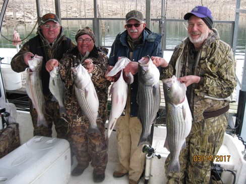 Nice Striped Bass